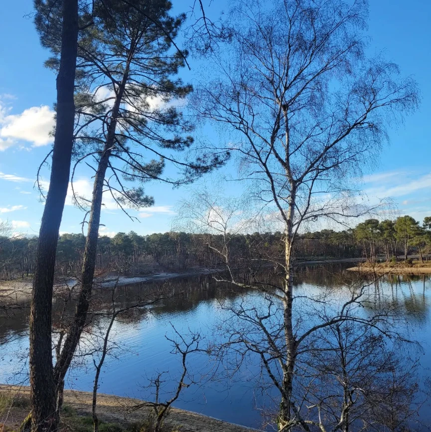 motclef4 localisation3