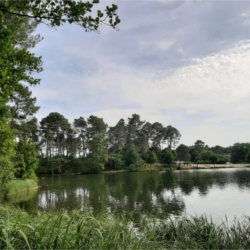 motclef5 localisation3