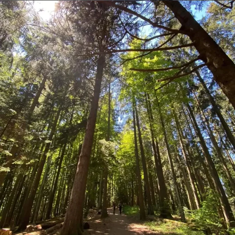 motclef5 localisation3